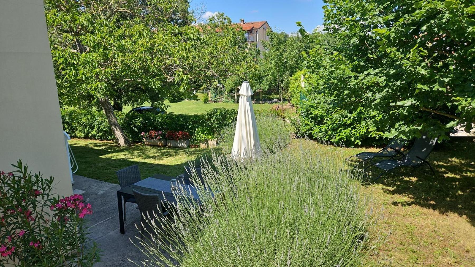 Gianna Apartment Labin Labin  Zewnętrze zdjęcie