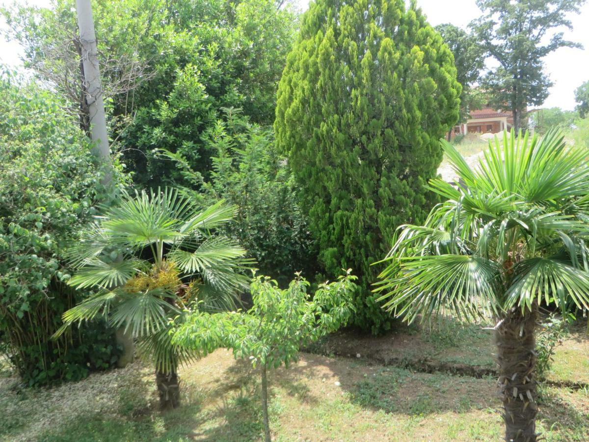 Gianna Apartment Labin Labin  Zewnętrze zdjęcie